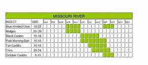 Missouri River Hatch Chart
