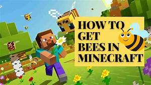 How To Get Bees In Minecraft Beehive Minecraft 2024