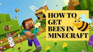 how to get bees in minecraft beehive minecraft 2024