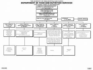 chart of organization