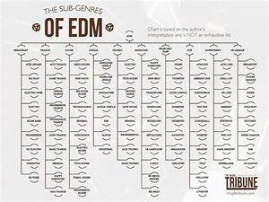 Subgenres Of Edm Edm Music Genres Edm Music
