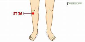Calf Acupressure Points Leg Chart