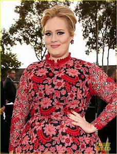Adele Grammys 2013 Red Carpet Photo 2809227 2013 Grammys Adele