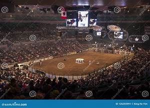 Professional Bull Rider Tournament On Square Garden Editorial