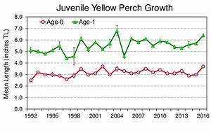 Figure C 4 Mean Total Length Of Age 0 And Age 1 Yellow Perch Collected