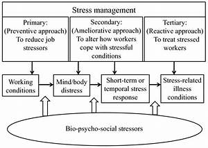 Work Related Stress And Psychosomatic Medicine Biopsychosocial