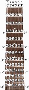 Guitar Chord Fretboard Note Chart Instructional Easy 11x17 Poster For