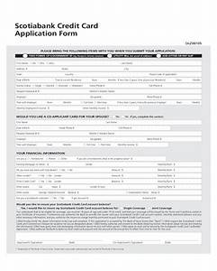 2024 Credit Card Application Form Fillable Printable Pdf Forms