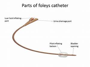 Foleys Catheter Uses And Types Uses And Different Sizes