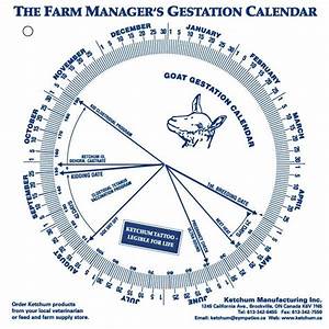 Goat Gestation Calendar C30847 Nasco Goats Goat Care Raising Goats