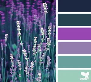 Lavendar Brights Lavender Color Scheme Colour Pallette Color Palate