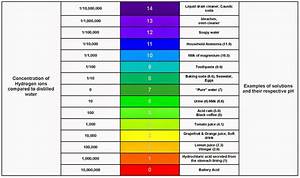 Ph Alkalinity And Why They Matter