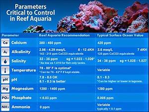 4 signs it 39 s time to get a calcium reactor marine depot blog