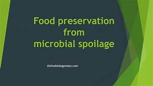 Food Preservation From Microbial Spoilage Principle And Methods
