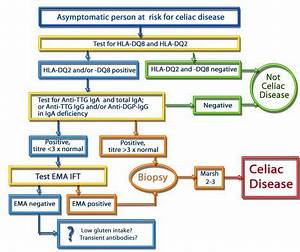 Cd Algorythm Asymptomatic Celiac Test Celiac Disease Test Going
