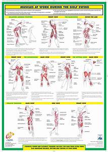 Golf Fitness Charts And Booklet Set Of 3
