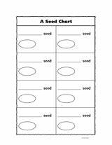 A Seed Chart Graphic Organizer 1st Grade Teachervision Com