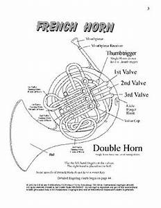 French Horn Chart Double Horn Full Range Best Choices