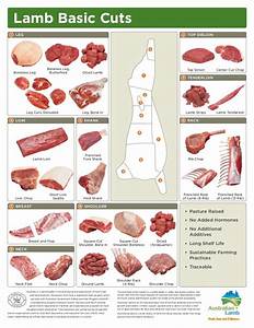 Lamb Cut Chart En Sp