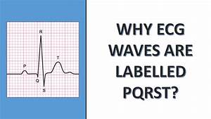 Why Ecg Waves Are Labelled As Pqrst Youtube