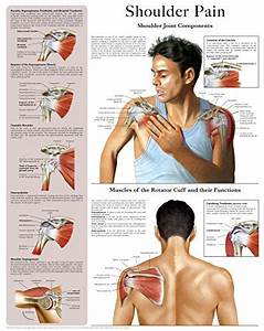 Female Shoulder Diagnosis Chart