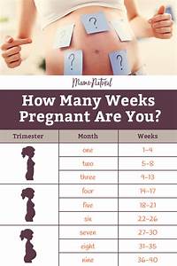 Pregnancy Weeks To Months How To Do The Math Accurately