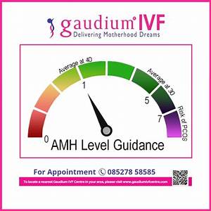 What Is Amh Amh Levels Affect Fertility Gaudium Ivf Centre