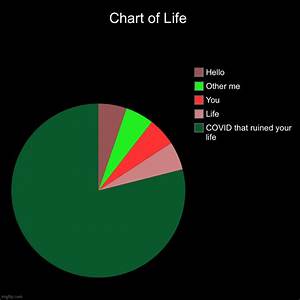 Chart Of Life Imgflip