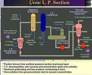 Ehsq Environment Health Safety And Quality Flow Diagram Of Urea