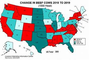 State Level Beef Cattle Inventory Agricultural Economics