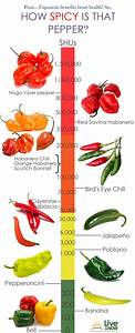 How Spicy Is That Pepper Visual Ly Tipos De Pimenta Ervas Fotos