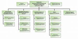 Organization Chart For The Center For Environmental Solutions And