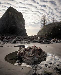 Trinidad State Beach Low Tide Pools Photograph By William Dunigan