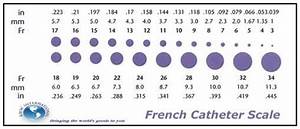 French Catheter Size Chart The French Catheter Scale Commonly Known