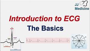 Introduction To Ecg The Basics Ecg Paper Pqrst Wave Rate Rhythm