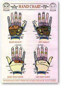Hand Reflexology Charts By Gillanders
