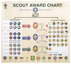Scout Award Chart Download Only The Scout Shop
