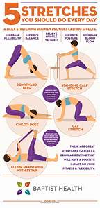 Everyday Stretches Infographic Best Exercises Daily