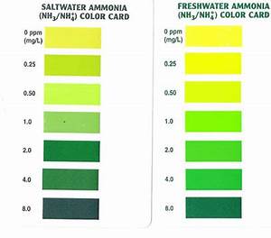 Api Ammonia Test Results Don 39 T Match Chart Saltwaterfish Com
