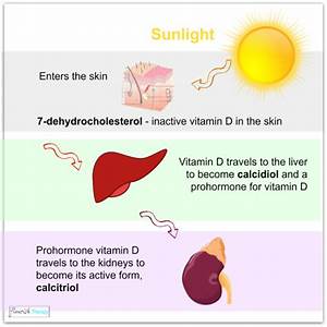 How Is Vitamin D Formed In Sunlight What Is The Process Quora