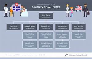 9 Types Of Organizational Structures Visualization Tips Venngage
