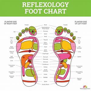 Foot Reflexology Chart Massageaholic