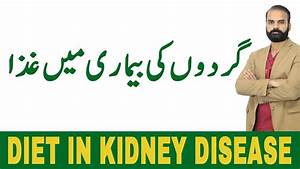 Diet For Kidney Infection Failure In Urdu Diet For Kidney Patients