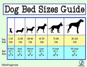 5 Cheap N Easy Dog Beds Diys With Plans Patchpuppy Com Easy Dog