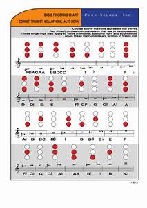 Basic Chart Cornet Trumpet Mellophone Alto Horn