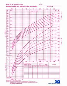 Baby Girl Growth Chart How To Create A Baby Girl Growth Chart