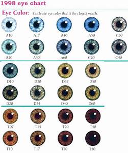Eye Color Chart Eyes Eyecolors Tegning Af øjne øjne Skrivning