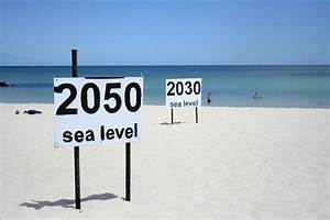 interactive map of sea level rise zdnet