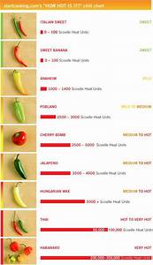 71 Best Peppers Images On Pinterest Chart Cooking Tips And Anaheim