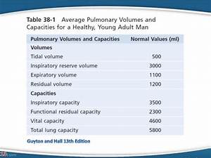 Physiology Of Lung Volumes And Capacities